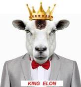 Илон Маск - король баранов King Elon
